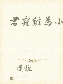 君宠难为小说