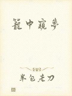 笼中窥梦