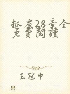 抓灰28章全部免费阅读
