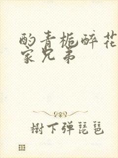 酌青栀醉花阴贺家兄弟封面