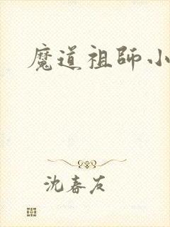 魔道祖师小说封面