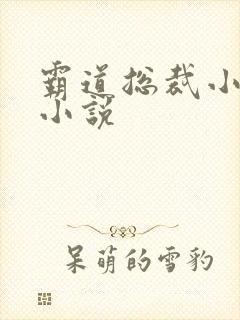霸道总裁小娇妻小说