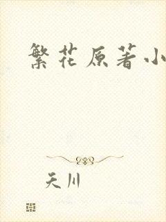 繁花原著小说