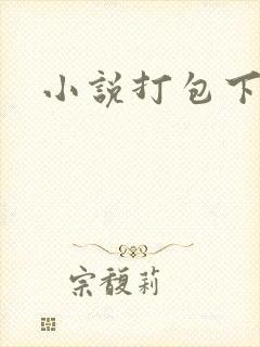 小说打包下载