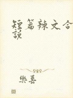 短篇辣文合集小说封面