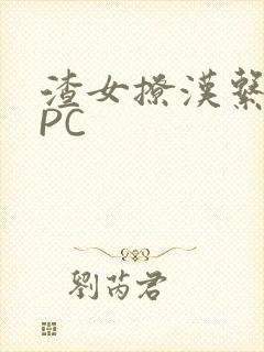 渣女撩汉系统NPC