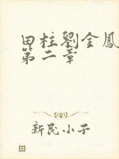田柱刘金凤小说第二章封面