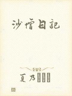 沙僧日记封面