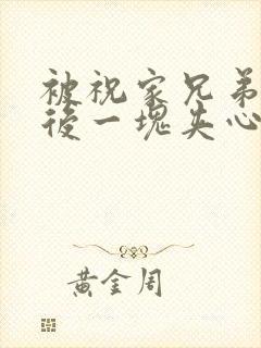 被祝家兄弟共享后一块夹心饼封面