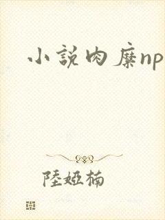 小说肉糜np封面