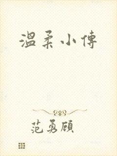 温柔小传封面