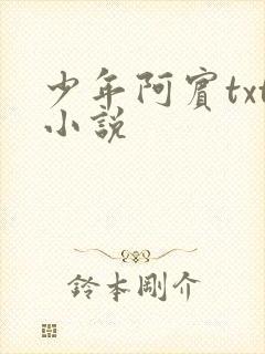 少年阿宾txt小说