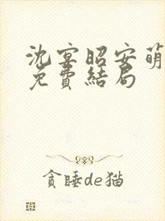 沈宴昭安萌全文免费结局