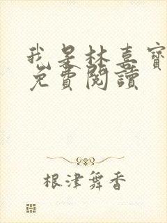 我是林喜宝小说免费阅读封面
