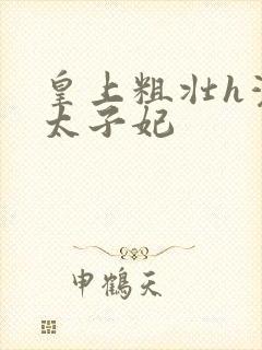 皇上粗壮h灌满太子妃封面