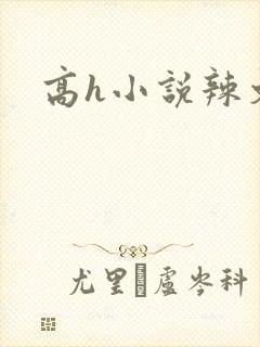 高h小说辣文
