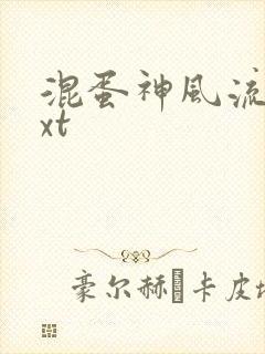 混蛋神风流史txt封面