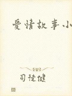 爱情故事小说封面
