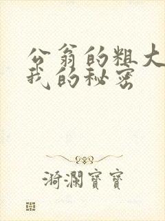 公翁的粗大放进我的秘密