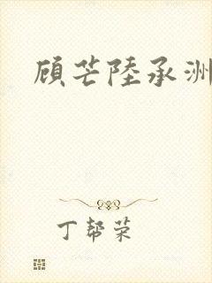 顾芒陆承洲