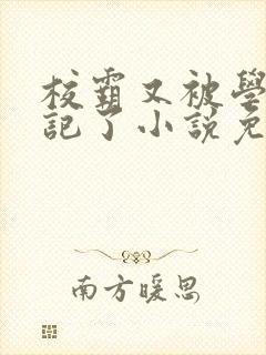 校霸又被学神标记了小说免费阅读