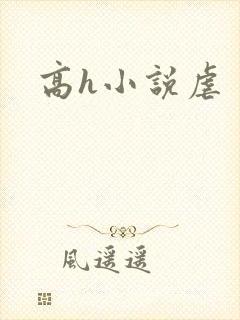 高h小说虐封面
