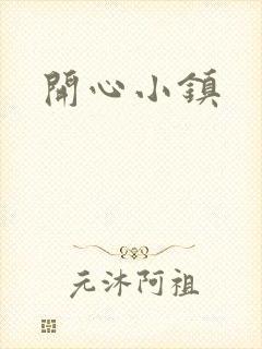 开心小镇封面