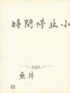 时间停止小说