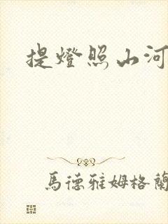 提灯照山河