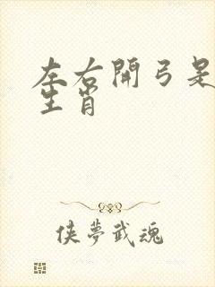 左右开弓是什么生肖封面
