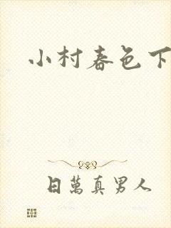 小村春色下载