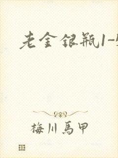 老金银瓶1-5