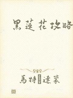 黑莲花攻略手册封面