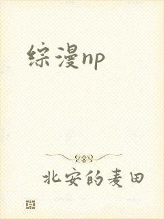 综漫np
