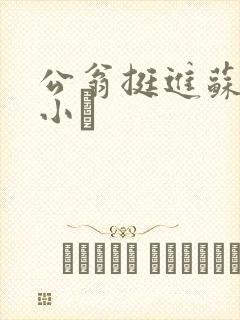 公翁挺进苏玥的小泬