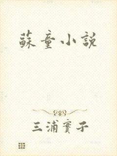 苏童小说