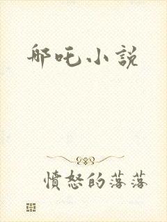 哪吒小说封面