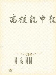 高校龙中龙封面