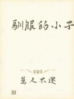 驯服的小子4
