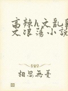 高辣h文乱乳h文浪荡小说苏柔封面