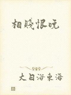 相贱恨晚封面