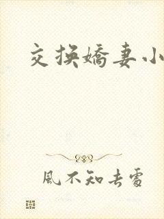 交换娇妻小说