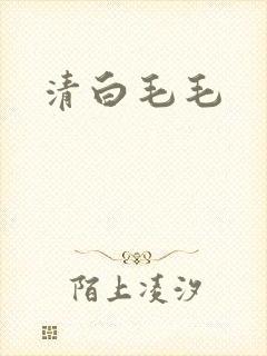 清白毛毛
