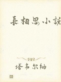 长相思小说原著封面