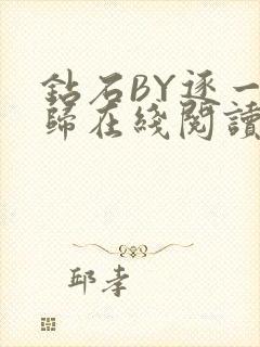 钻石BY逐一而归在线阅读