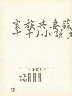 家族共妻苏苏(十千)小说免费