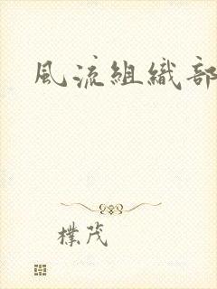风流组织部长封面