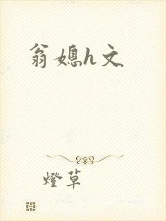 翁媳h文封面