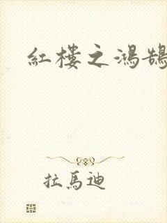 红楼之鸿鹄