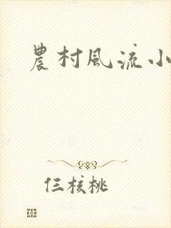 农村风流小说